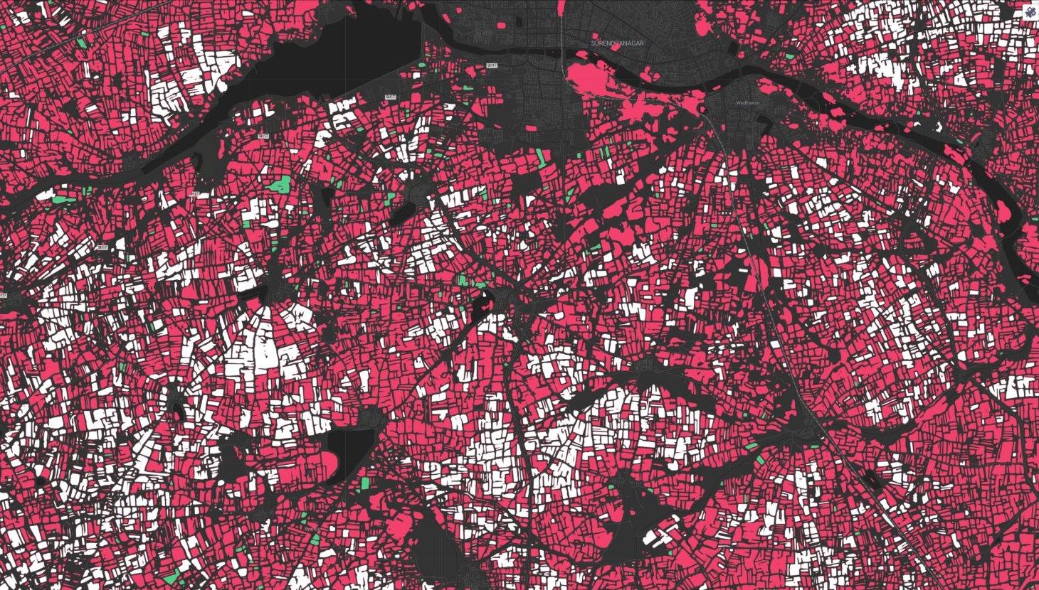 Map of detected cotton fields (pink) and organic cotton fields (green) around Surendranagar, India
