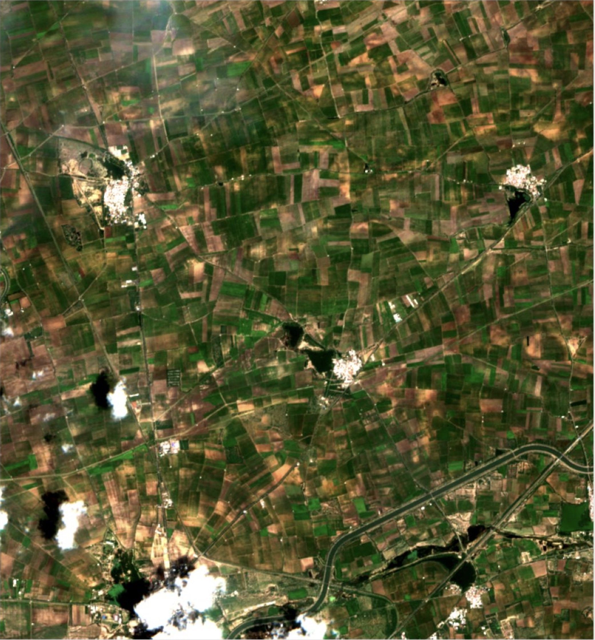 Sentinel-2 satellite image of an agricultural landscape in India