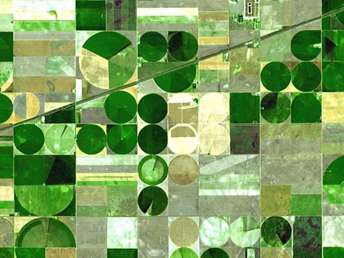 Satellite image of Kansas farmland with circular and rectangular fields